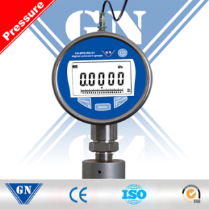 Digital Recording Pressure Gauges (CX-DPG-RG-51)